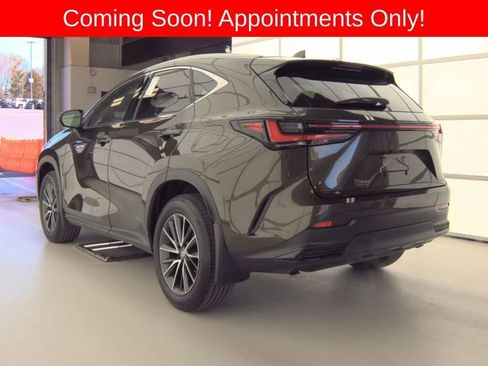 Used 2024 Lexus NX 350h AWD image 4