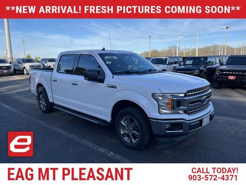 Used 2019 Ford F150 XLT w/ Equipment Group 302A Luxury image 1