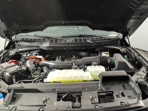 New 2025 Ford F150 XLT w/ Equipment Group 303A High image 3