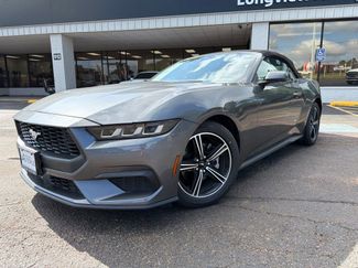 Used 2024 Ford Mustang Premium RWD video 1