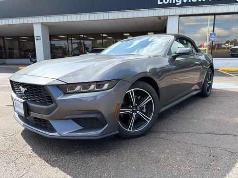Used 2024 Ford Mustang Premium RWD image 1