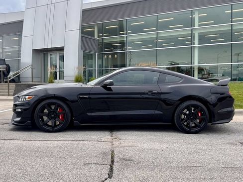 Used 2017 Ford Mustang Shelby GT350R w/ GT350R Equipment Group 920A RWD image 3