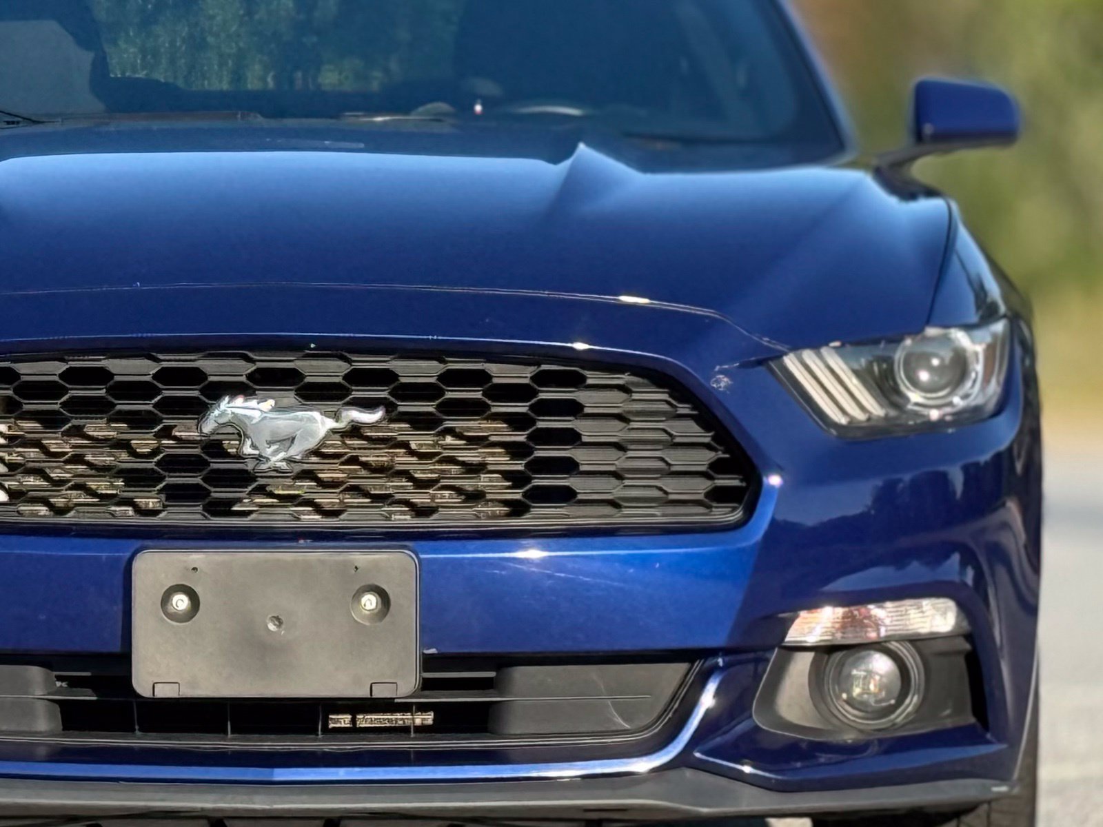 Used 2016 Ford Mustang Coupe w/ Equipment Group 051A RWD image 15