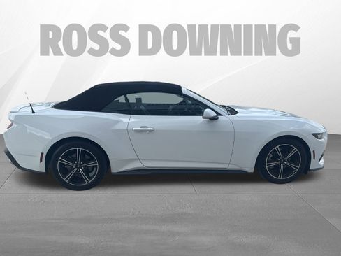 Used 2025 Ford Mustang Premium image 7