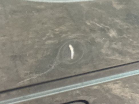 Used 2016 Ford F250 XL w/ Power Equipment Group image 38