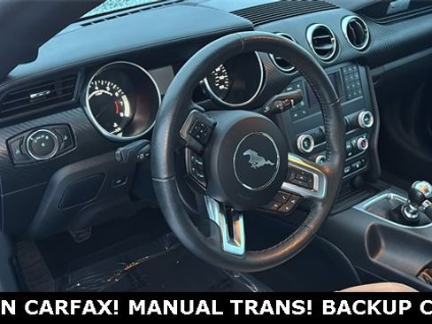 Used 2023 Ford Mustang Coupe image 6