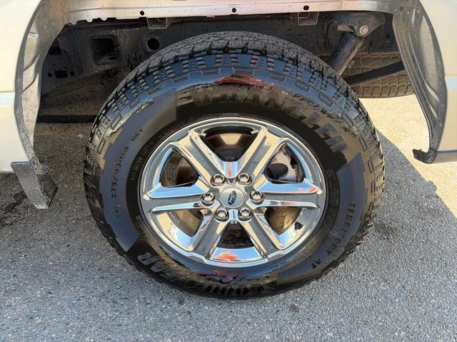 Used 2025 Ford F150 XLT w/ Equipment Group 301A Standard AWD/4WD image 15
