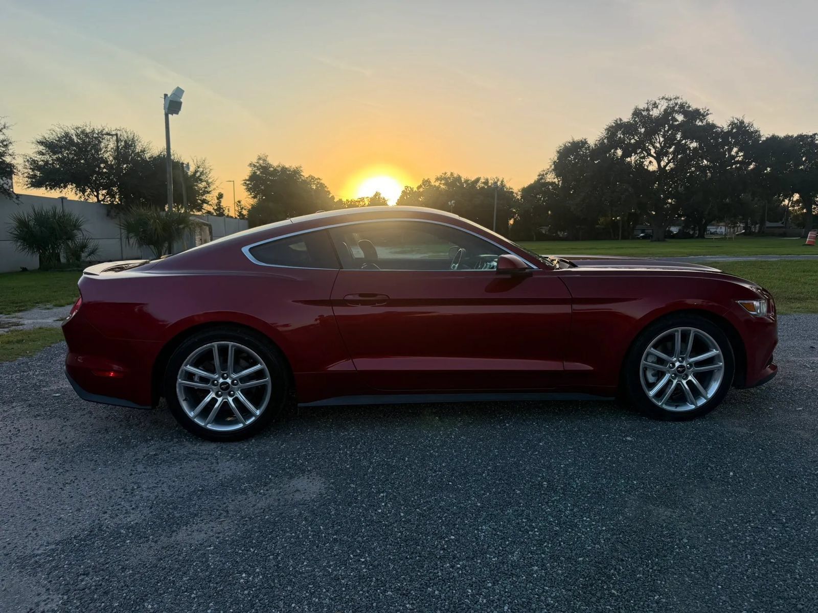 Used 2016 Ford Mustang Premium w/ Equipment Group 201A RWD image 4