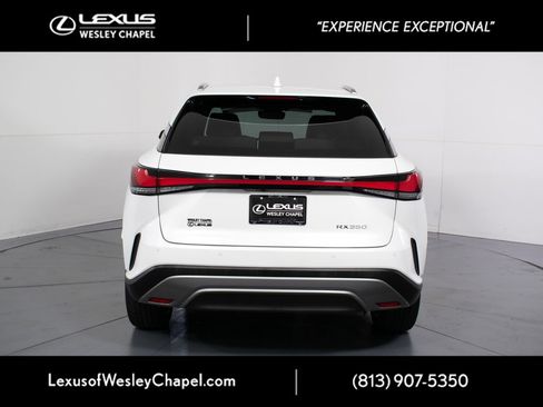 Used 2023 Lexus RX 350 Premium Plus w/ Cold Area Package FWD image 7
