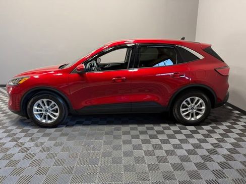 Used 2020 Ford Escape SE FWD image 6