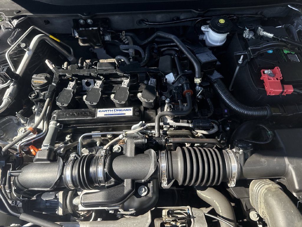 Used 2020 Honda Accord EX-L image 18