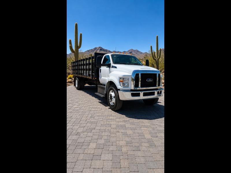Used 2022 Ford F650 2WD Regular Cab Super Duty image 1