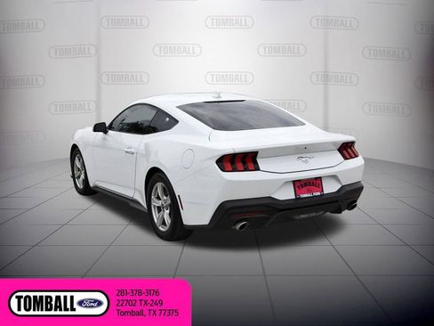 Used 2024 Ford Mustang EcoBoost image 5