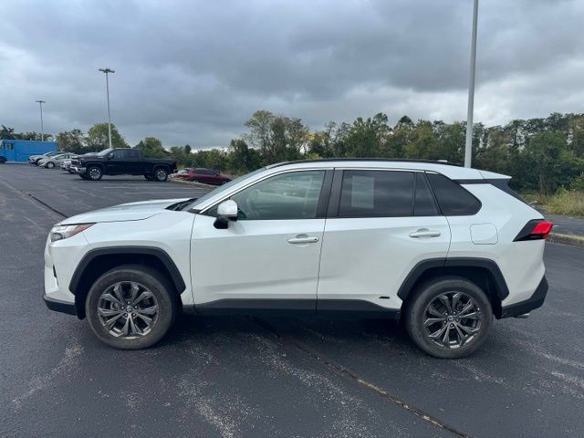 Certified 2023 Toyota RAV4 XLE Premium AWD/4WD image 6