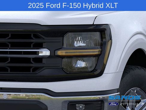 New 2025 Ford F150 XLT w/ Equipment Group 302A MID image 18