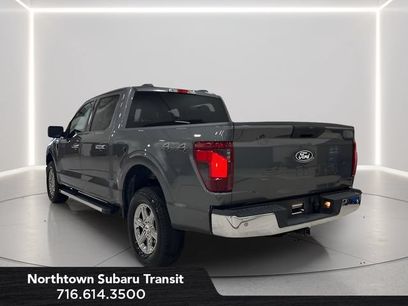 Used 2025 Ford F150 XLT w/ Equipment Group 301A Standard