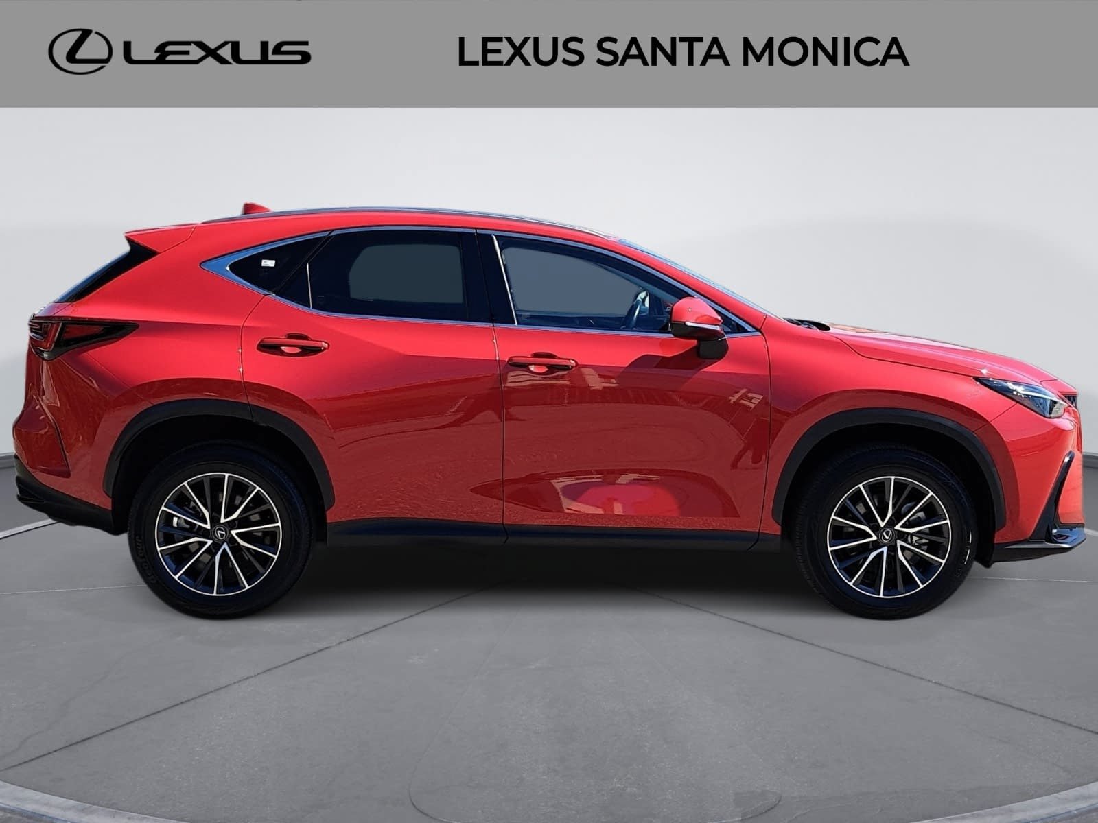 Used 2024 Lexus NX 350h AWD w/ Cold Area Package image 4