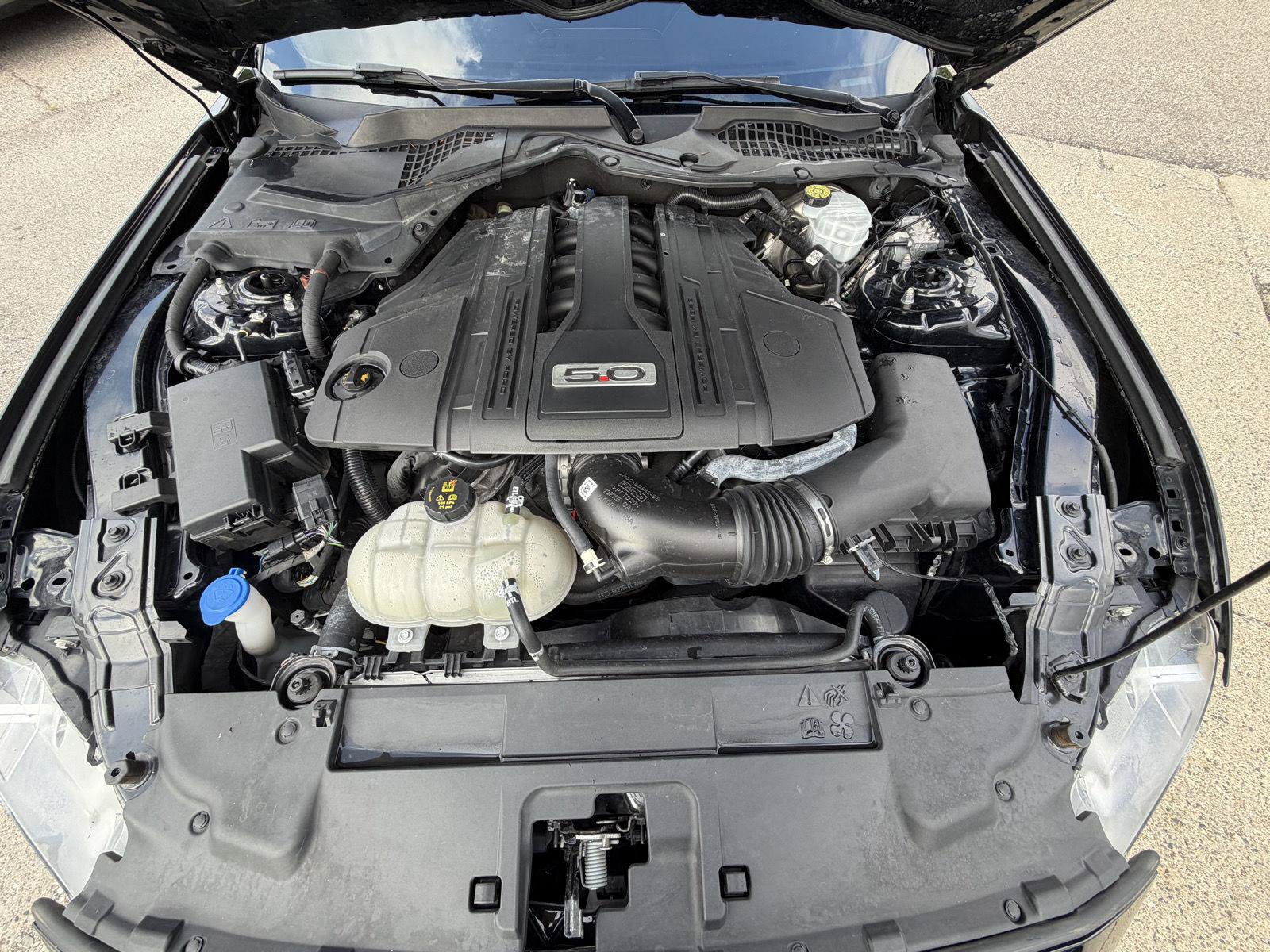 Used 2021 Ford Mustang GT Premium w/ Equipment Group 401A RWD image 9