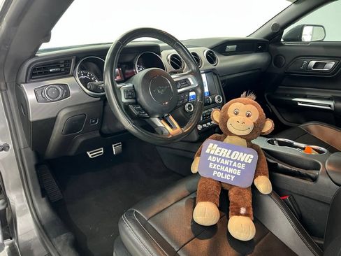 Used 2023 Ford Mustang Premium RWD image 10