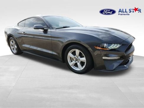 Used 2019 Ford Mustang Coupe image 1