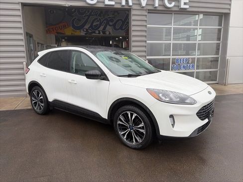 Used 2022 Ford Escape SEL w/ SEL Stealth AWD Package image 4