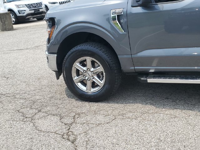 Used 2025 Ford F150 XLT w/ Equipment Group 301A Standard AWD/4WD image 8