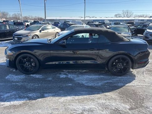 Used 2019 Ford Mustang GT Premium w/ Equipment Group 401A image 2