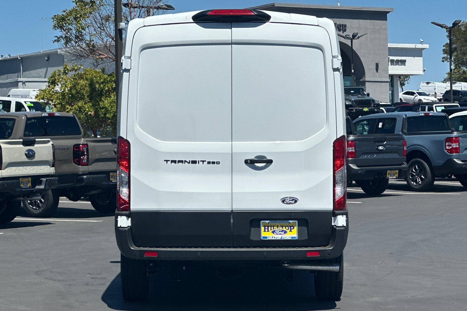 New 2026 Ford Transit 250 148 Medium Roof w/ Load Area Protection Package RWD image 5