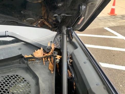 Used 2016 BMW X5 xDrive35i image 38