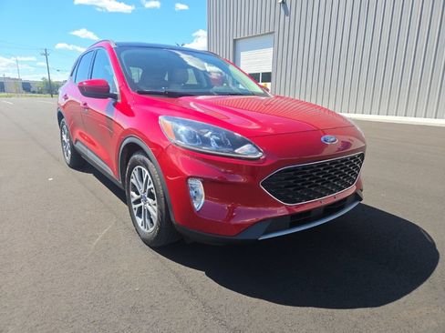 Used 2022 Ford Escape SEL FWD image 1