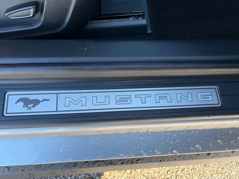 Used 2025 Ford Mustang Premium image 13
