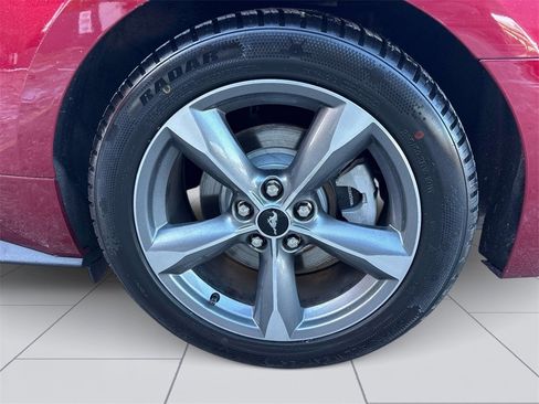 Used 2016 Ford Mustang V6 w/ Equipment Group 051A image 6