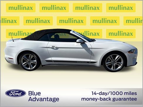Used 2019 Ford Mustang Premium w/ Equipment Group 201A RWD image 2