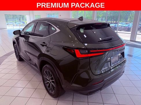Certified 2025 Lexus NX 250 FWD w/ Cold Area Package image 5