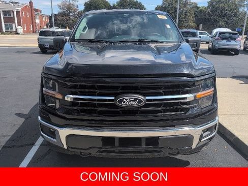 Used 2025 Ford F150 XLT w/ Equipment Group 301A Standard AWD/4WD image 2
