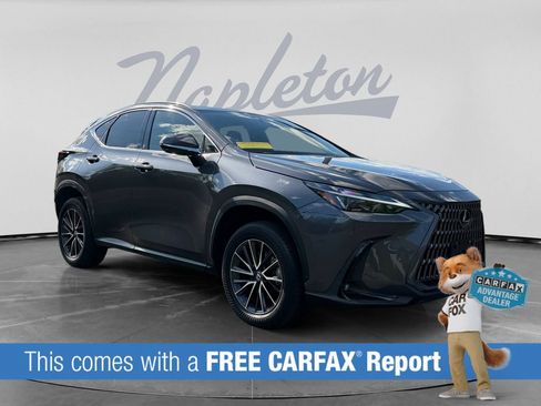 Used 2024 Lexus NX 350 AWD w/ Cold Area Package image 3