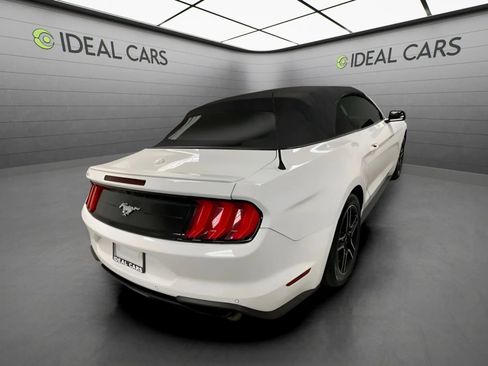 Used 2019 Ford Mustang Premium RWD image 5