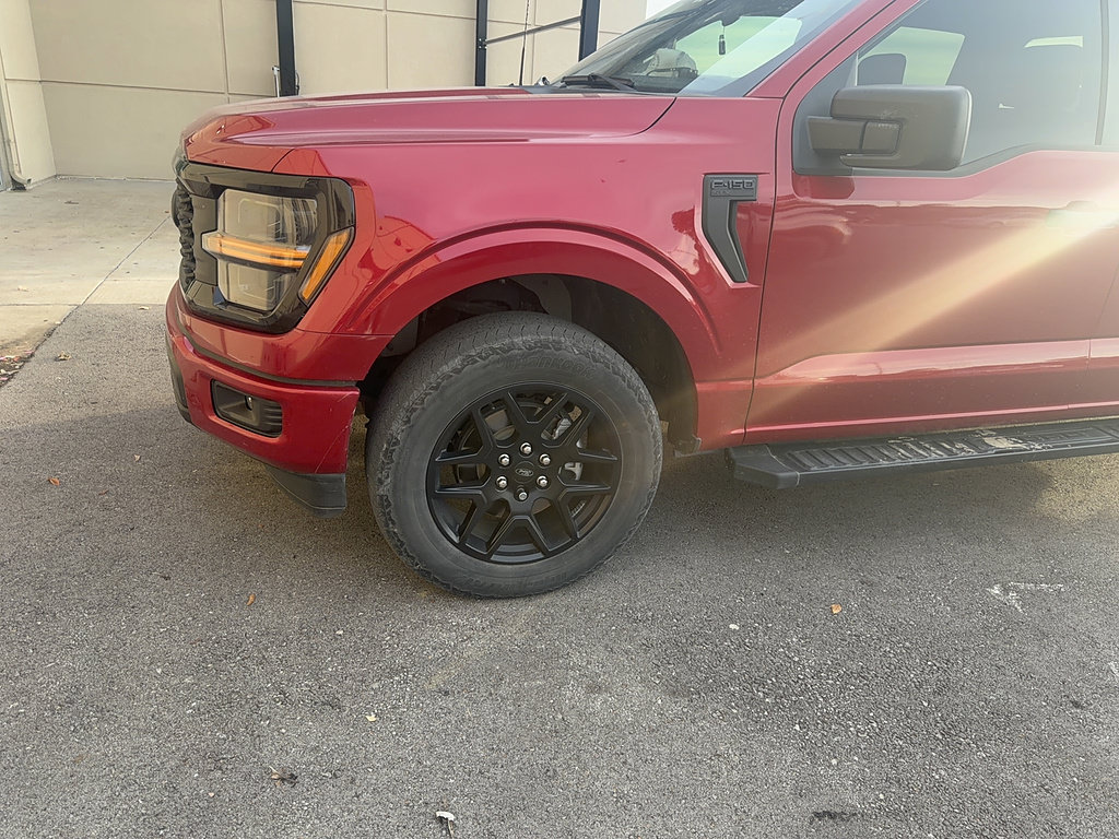 Used 2024 Ford F150 STX w/ STX Black Appearance Package AWD/4WD image 20