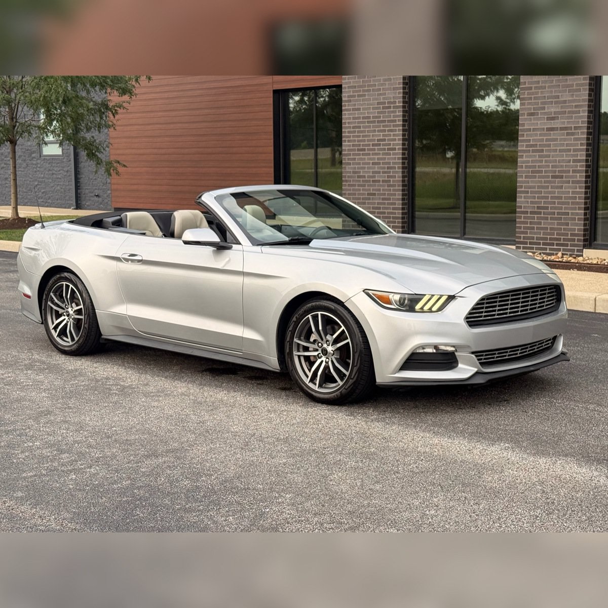 Used 2017 Ford Mustang Premium RWD image 1