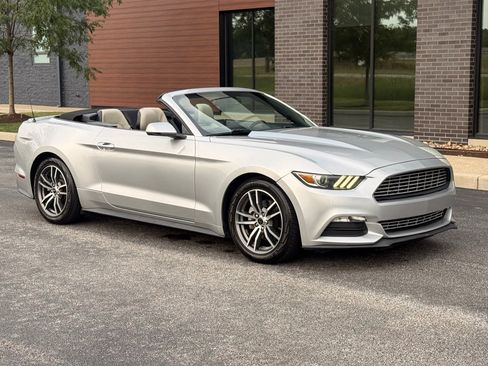 Used 2017 Ford Mustang Premium RWD image 1