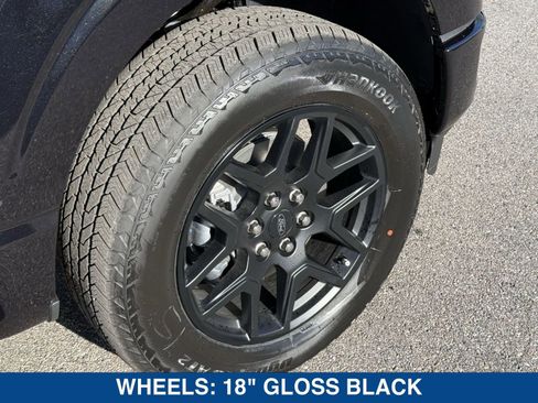 New 2025 Ford F150 STX w/ STX Black Appearance Package image 13