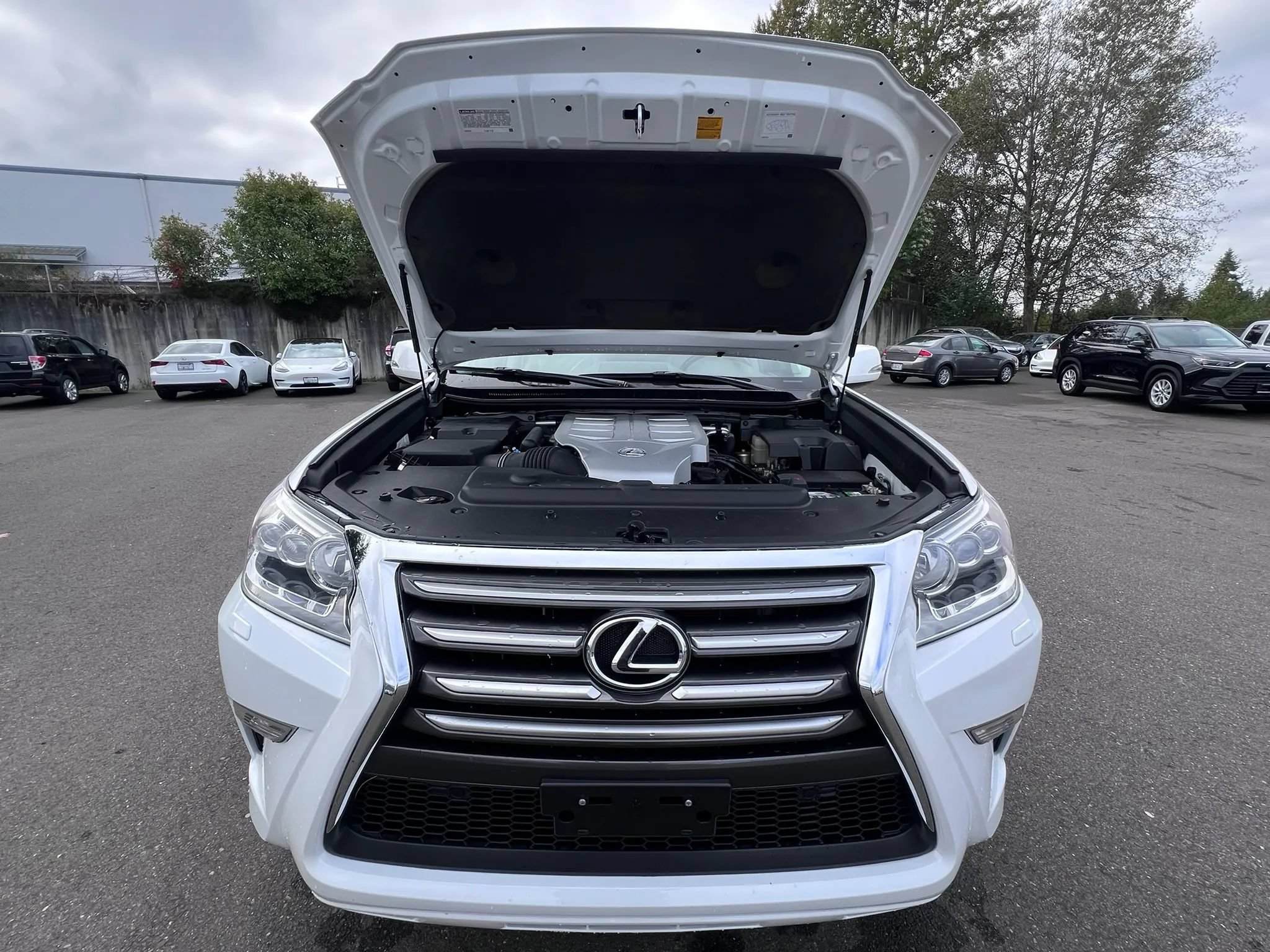 Used 2014 Lexus GX 460 Luxury AWD/4WD image 52