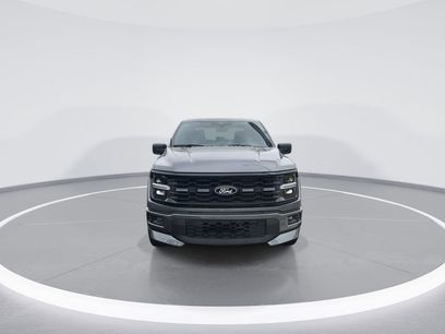 New 2026 Ford F150 STX w/ F-150 LOBO Package