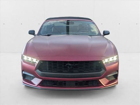 New 2025 Ford Mustang Premium w/ Mustang Nite Pony Package image 6