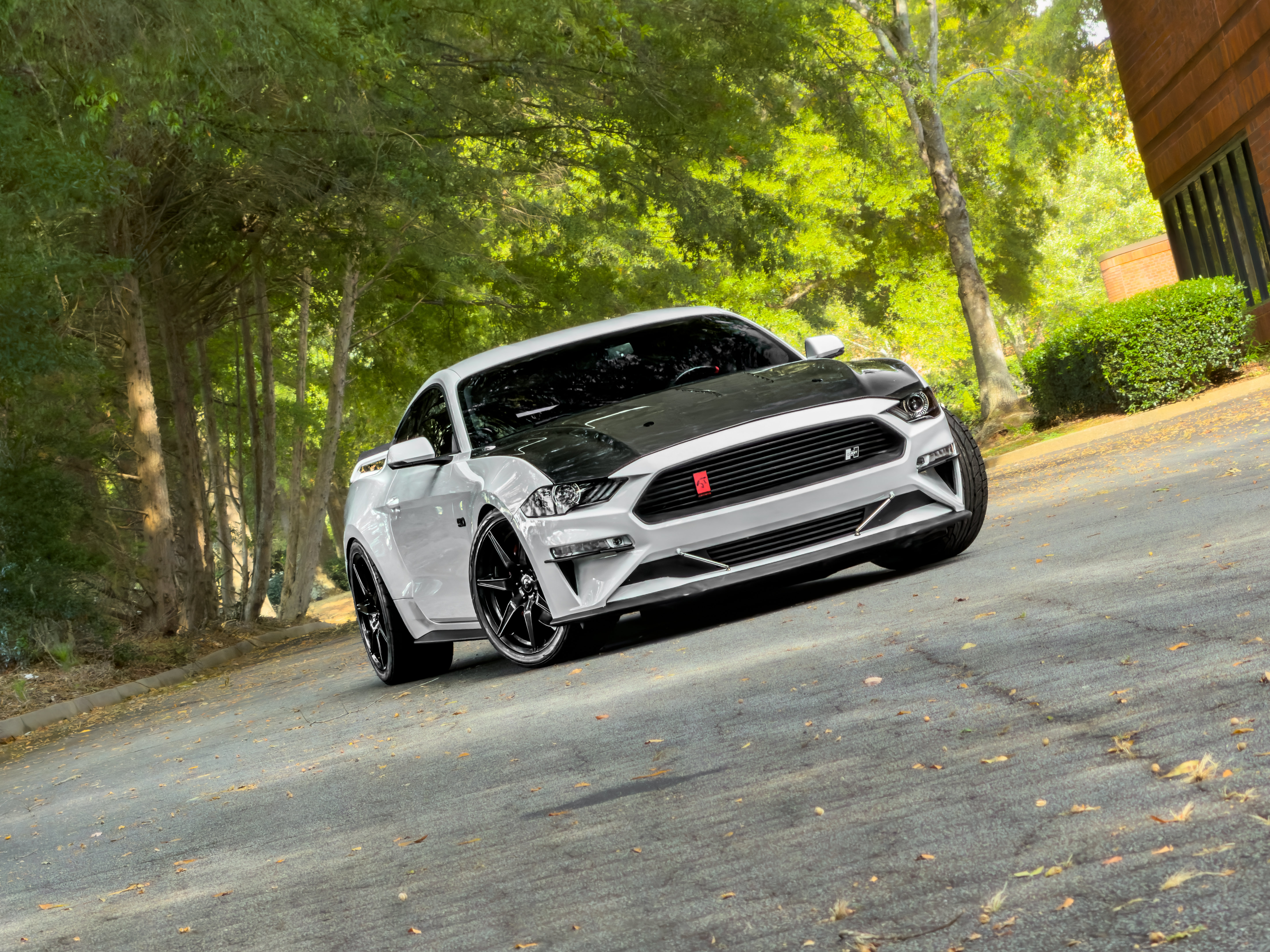Used 2019 Ford Mustang GT Premium w/ GT Performance Package RWD image 21
