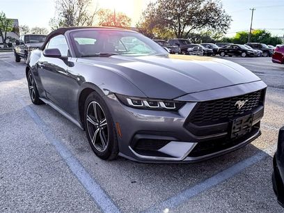 Used 2024 Ford Mustang Premium