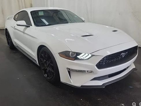 Used 2019 Ford Mustang Premium w/ Ecoboost Performance Package RWD image 5