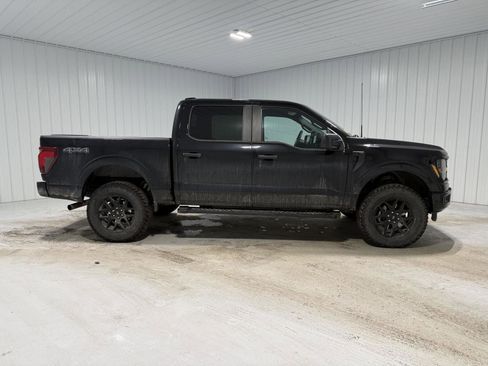 Used 2024 Ford F150 STX w/ STX Black Appearance Package image 8