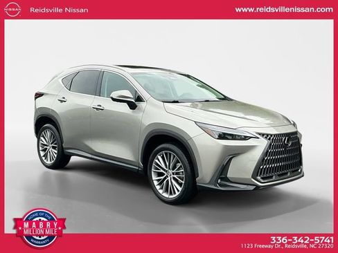 Used 2025 Lexus NX 350 AWD w/ Cold Area Package image 8
