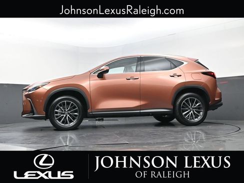 Certified 2025 Lexus NX 350h AWD w/ Cold Area Package image 22